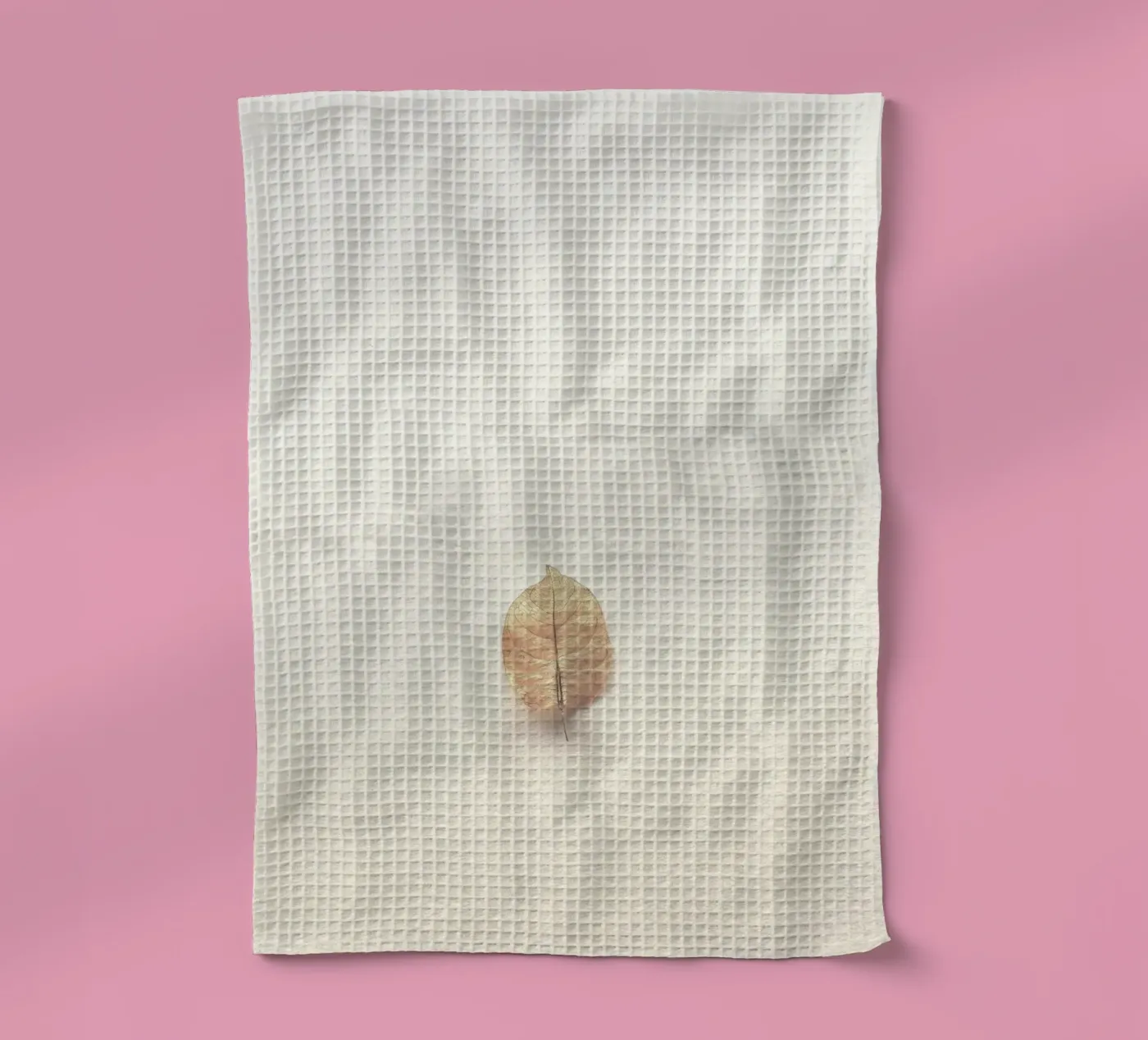 single leaf torchon de prindy