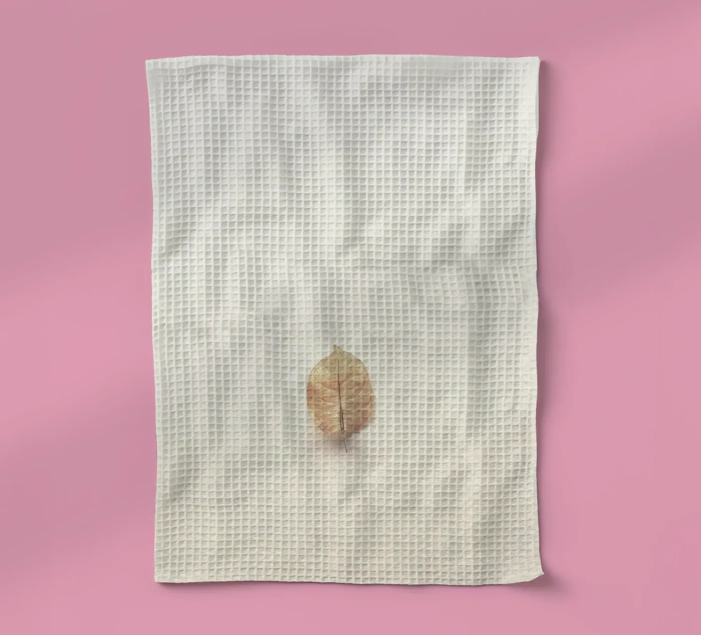 single leaf tea towel by prindy