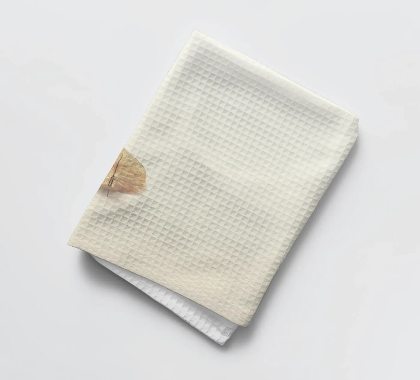 single leaf torchon de prindy