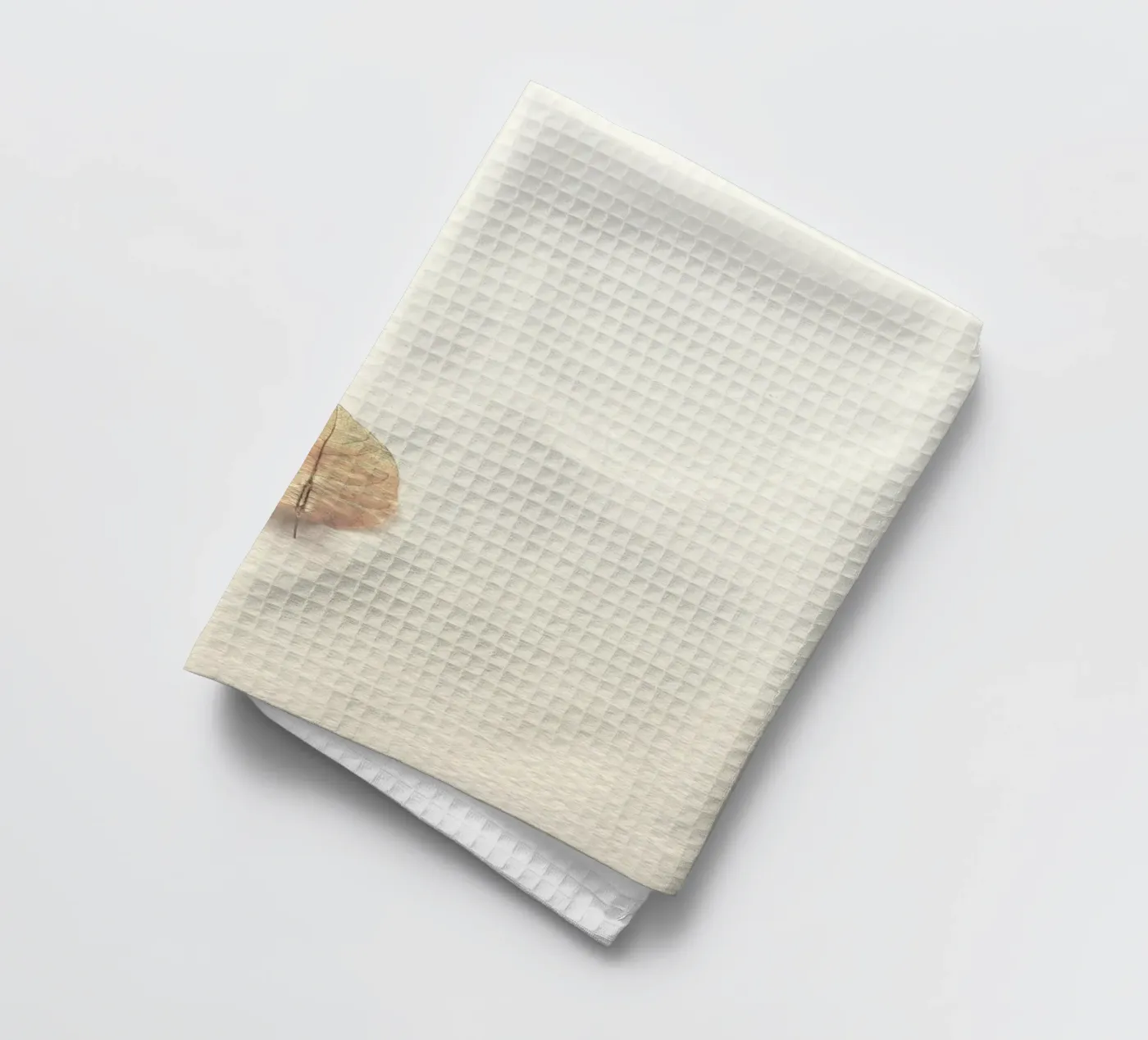 single leaf tea towel by prindy