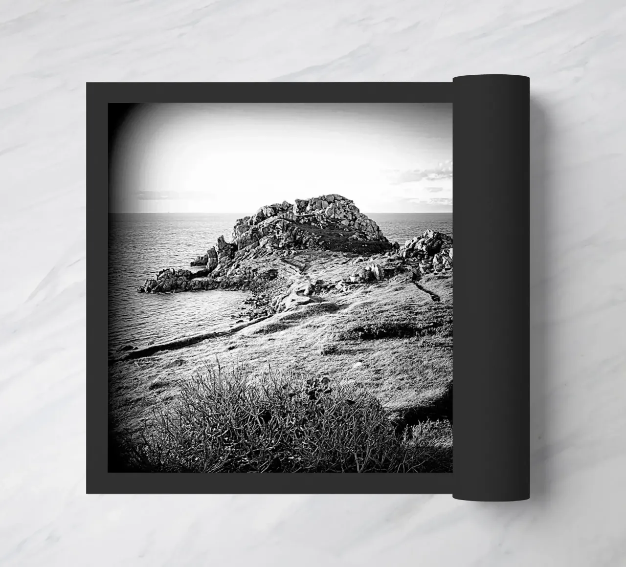 BW 75 zerbino da Thierry vobmann photography