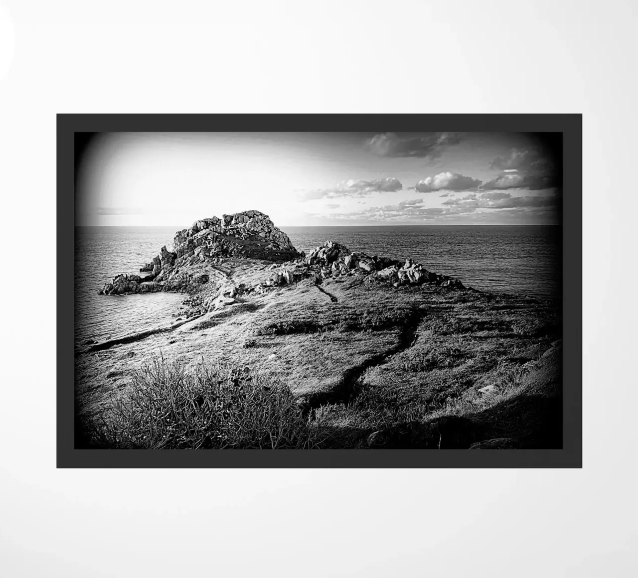 BW 75 zerbino da Thierry vobmann photography