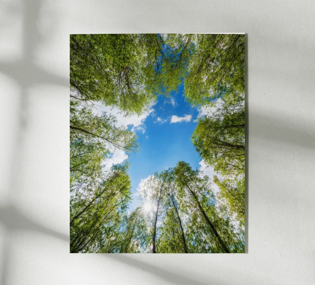 Paesaggio onirico plexiglass da PhotoVibe Decor