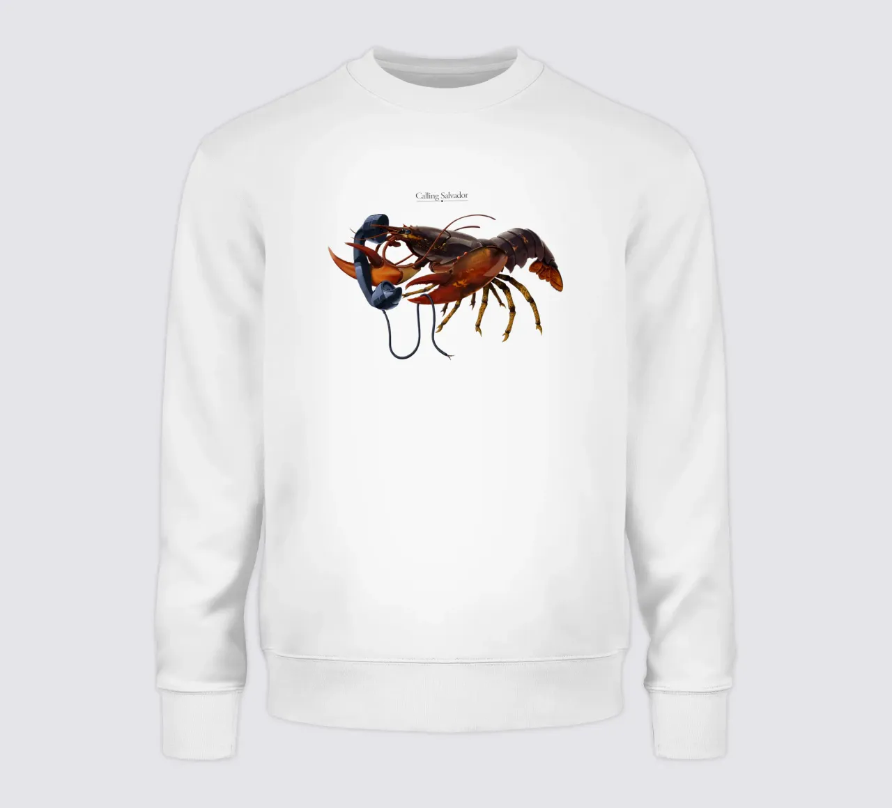 Calling Salvador (Titled) felpa da Rob Art | Illustration