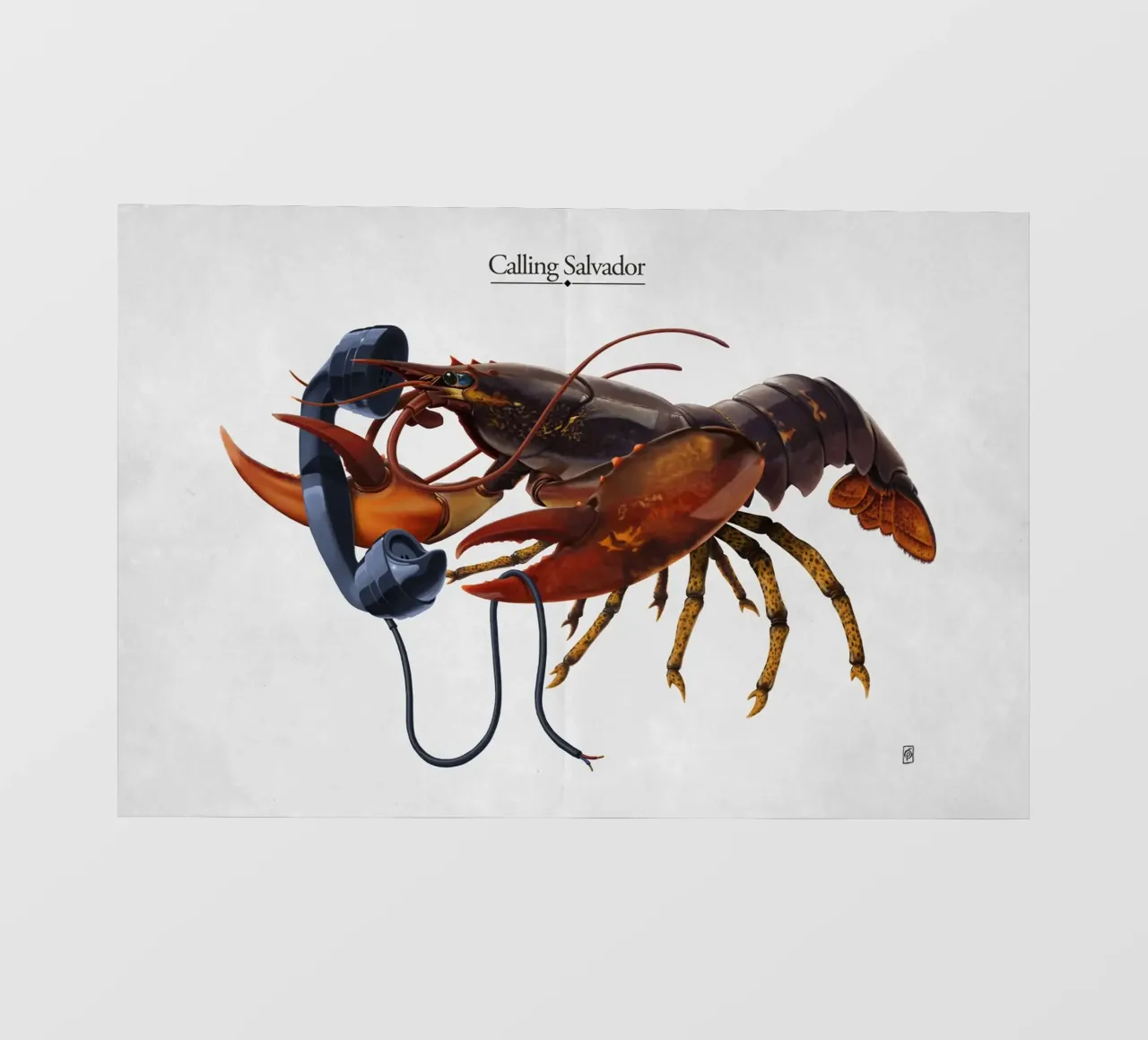 Calling Salvador (Titled) pellicola backlit da Rob Art | Illustration