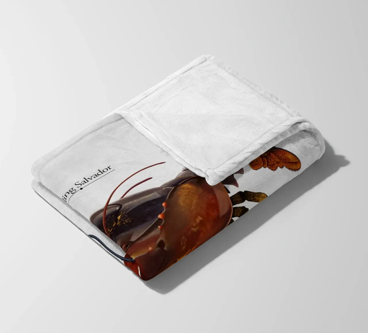 Calling Salvador (Titled) coperta in pile da Rob Art | Illustration
