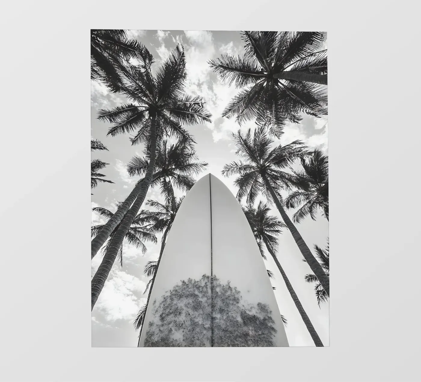 Surf! backlit folie van Mononoir