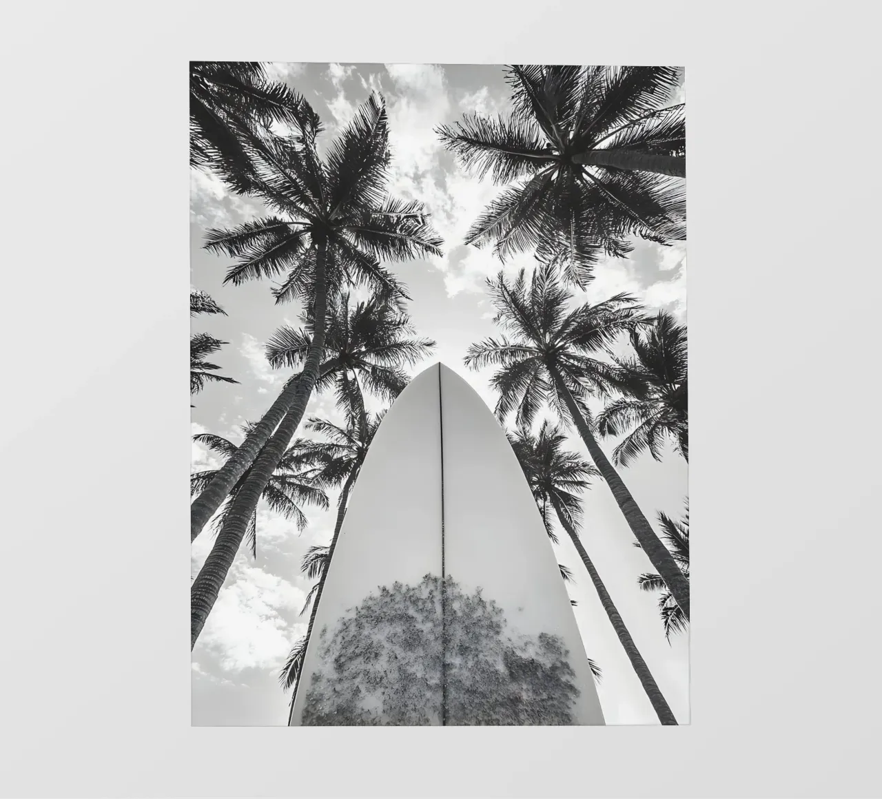 Surf! pellicola backlit da Mononoir