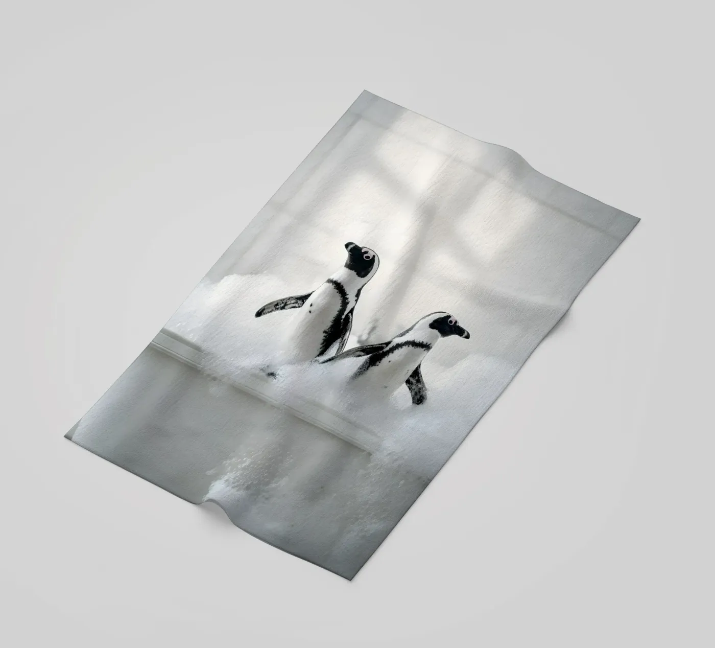 Bathing Pinguins telo mare da Mononoir