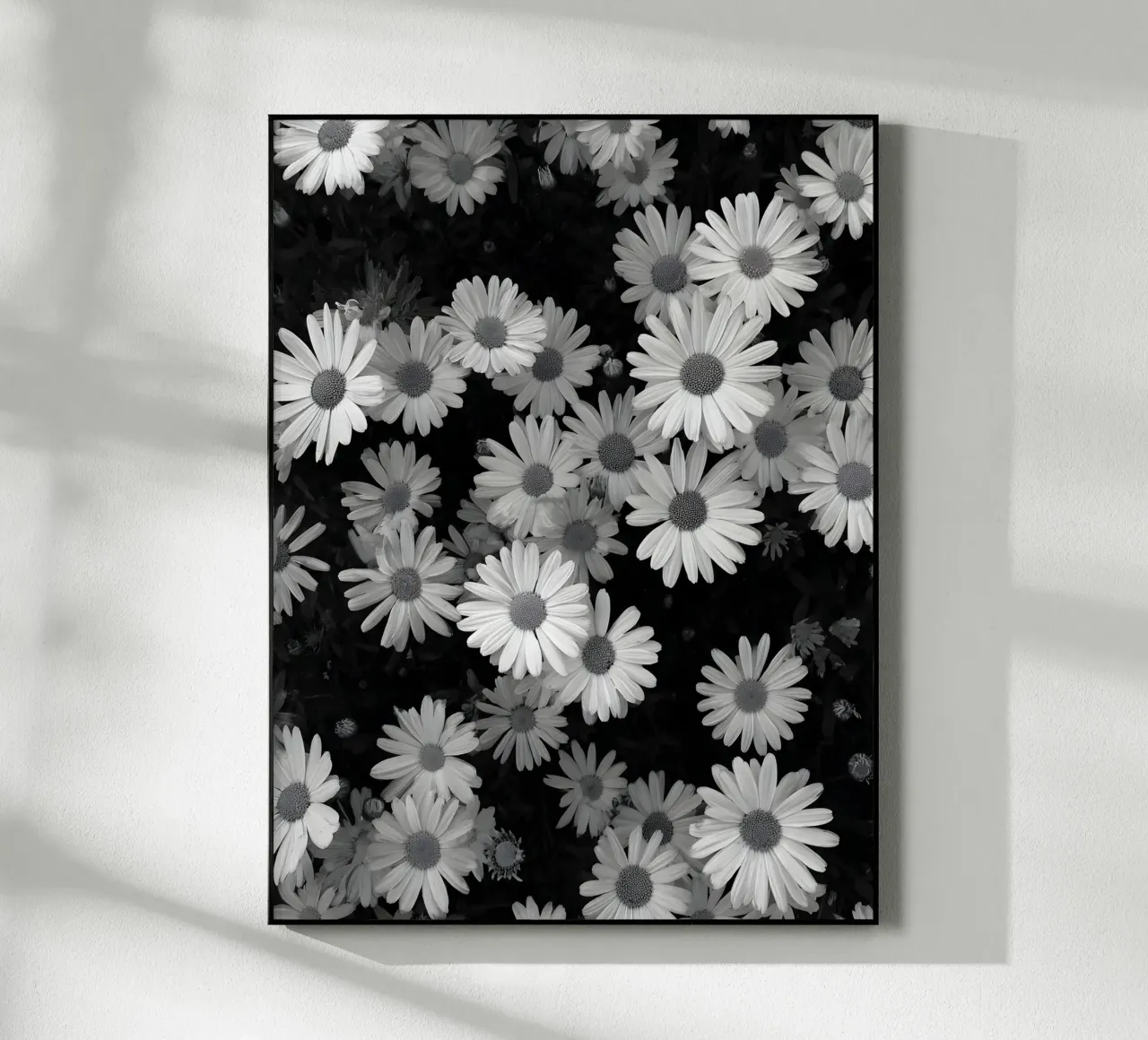 The Daisies plexiglass da Mononoir