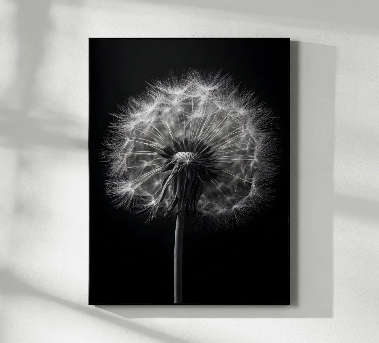 The Dandelion plexiglass da Mononoir
