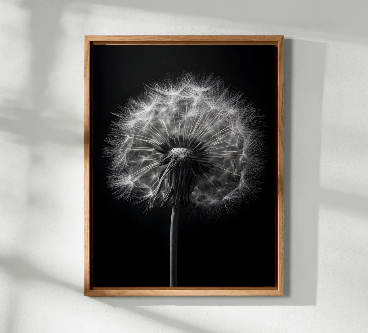 The Dandelion alluminio dibond da Mononoir