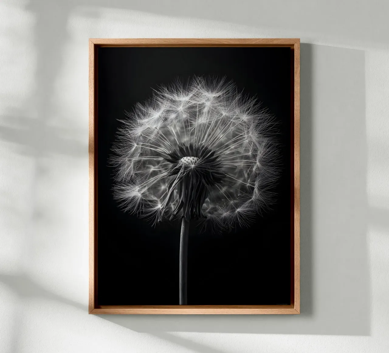 The Dandelion tela da Mononoir