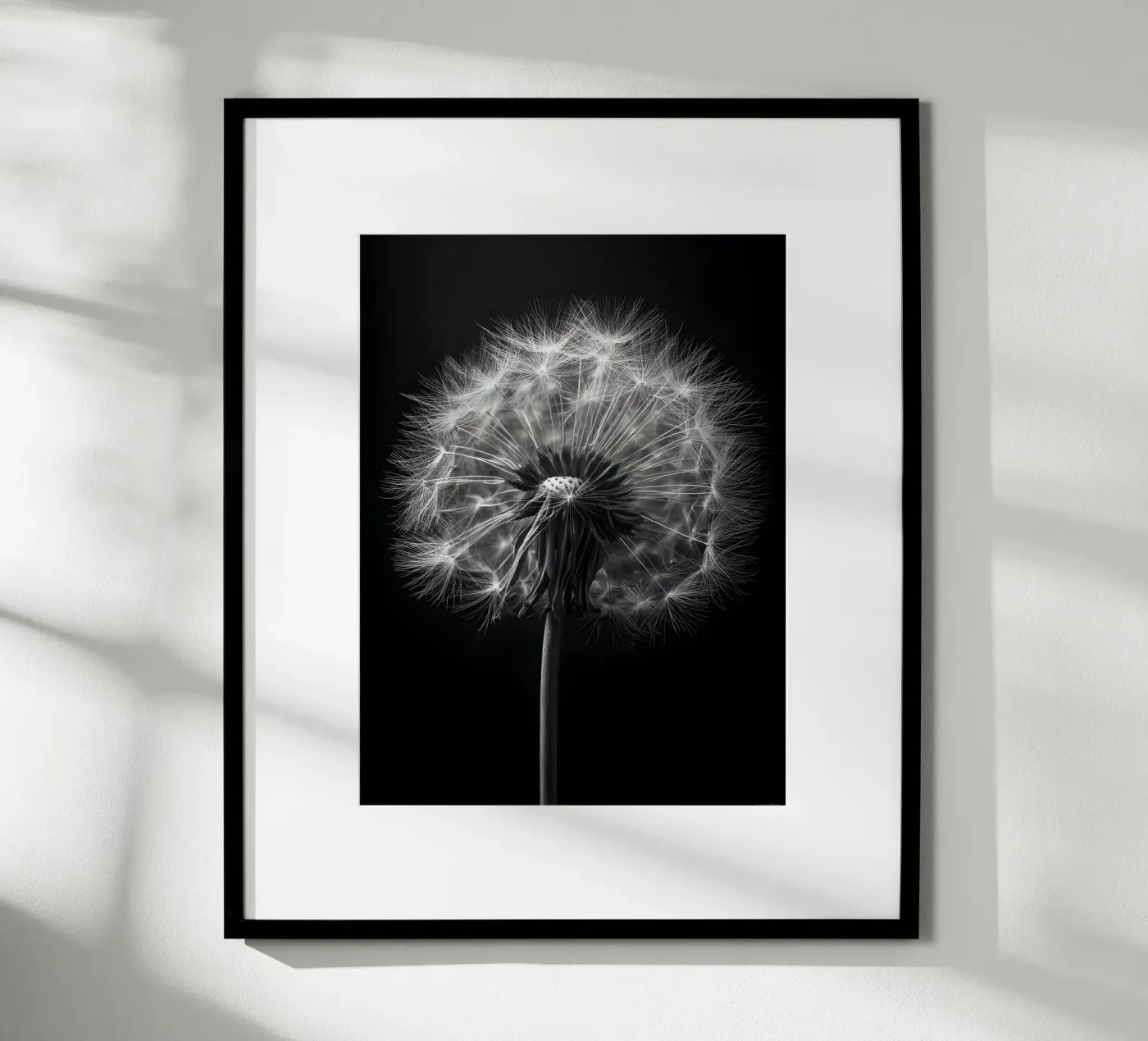 The Dandelion poster van Mononoir