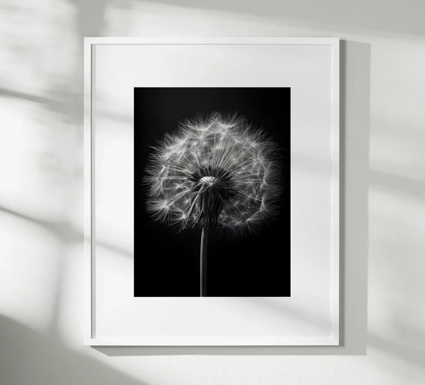 The Dandelion poster van Mononoir