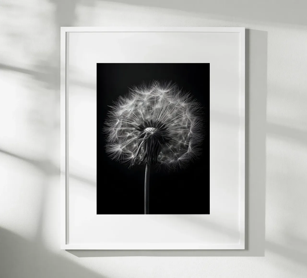 The Dandelion poster da Mononoir