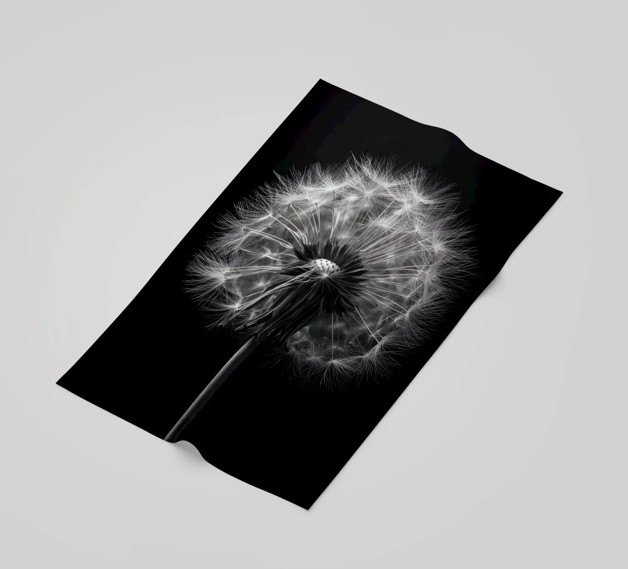 The Dandelion telo mare da Mononoir