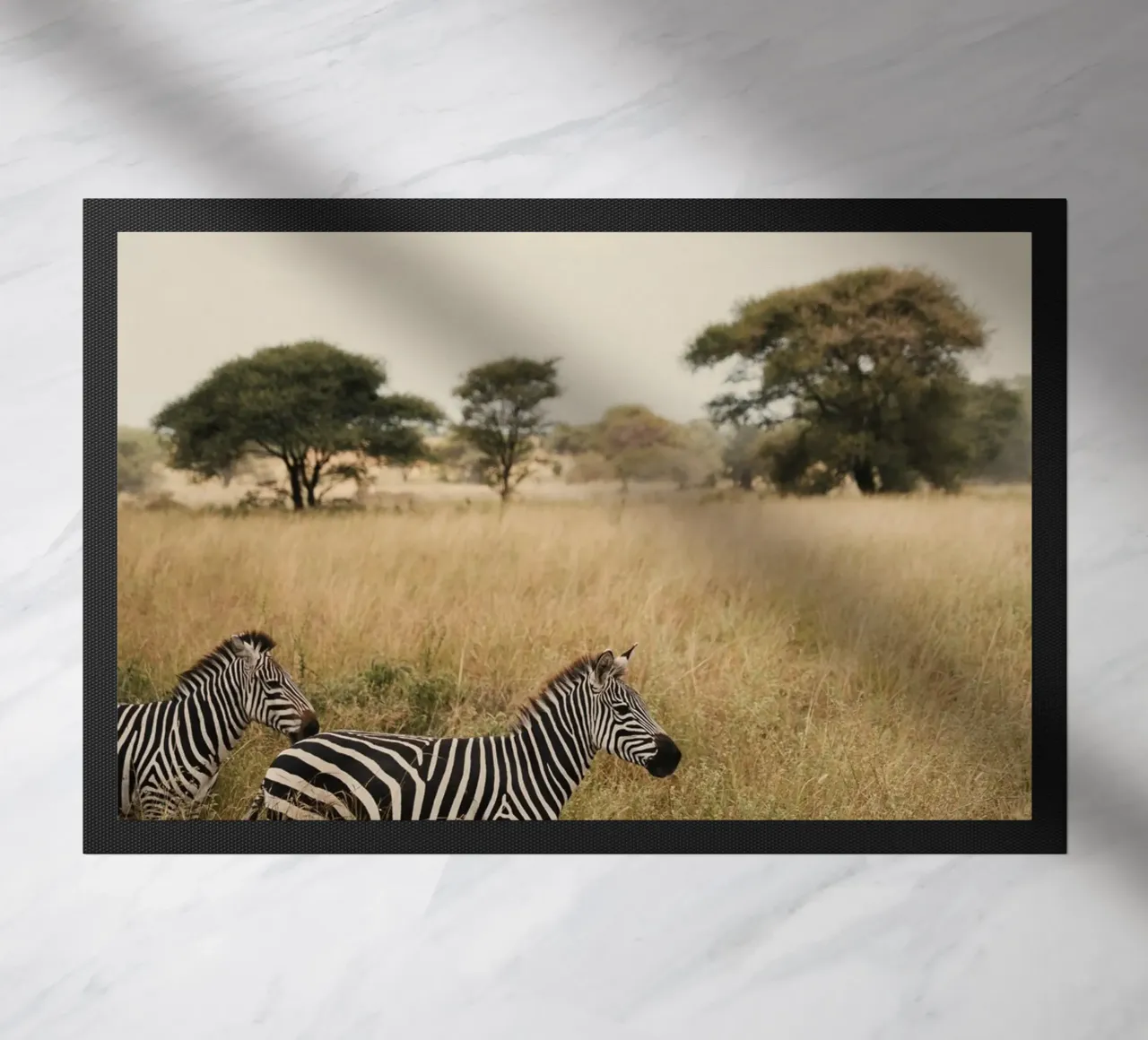 zebre nella savana zerbino da Earthly Visions