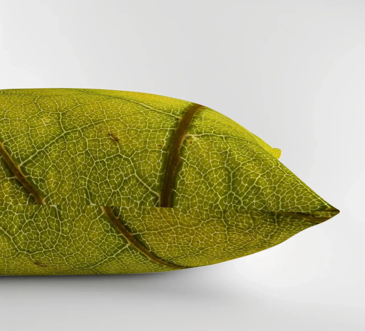 Herbstliches Blatt mit filigranem Adergeflecht cuscino da Bilderwelt - Kunst für die Wand