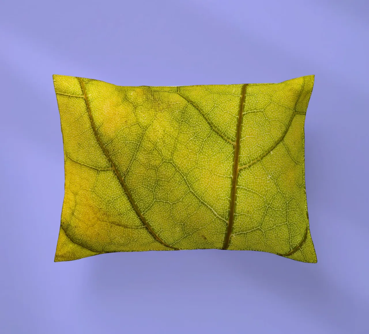 Herbstliches Blatt mit filigranem Adergeflecht cuscino da Bilderwelt - Kunst für die Wand