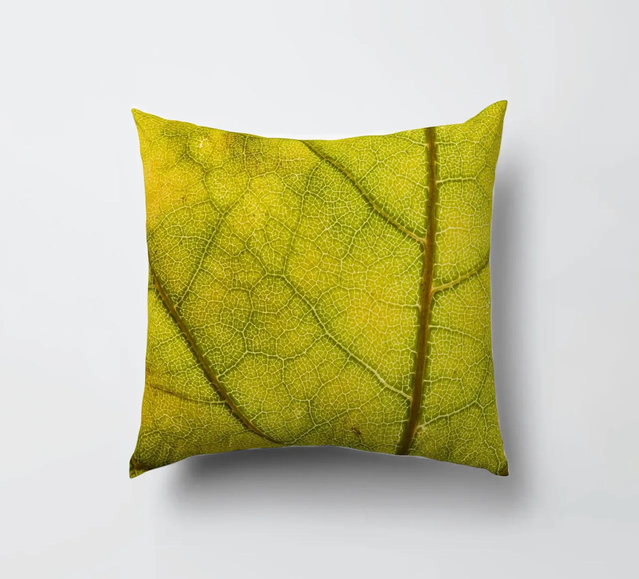 Herbstliches Blatt mit filigranem Adergeflecht cuscino da Bilderwelt - Kunst für die Wand
