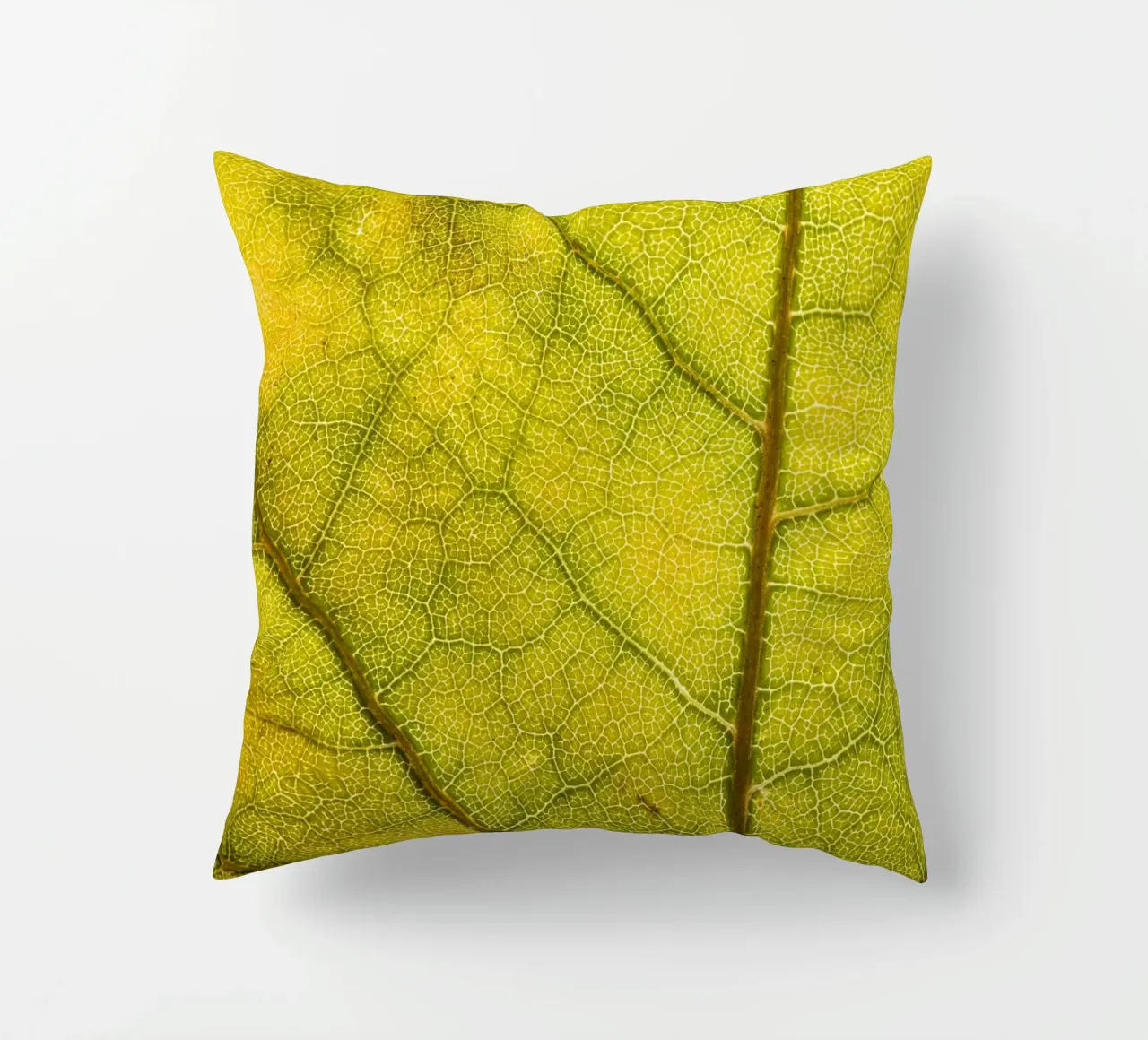 Herbstliches Blatt mit filigranem Adergeflecht cuscino da Bilderwelt - Kunst für die Wand