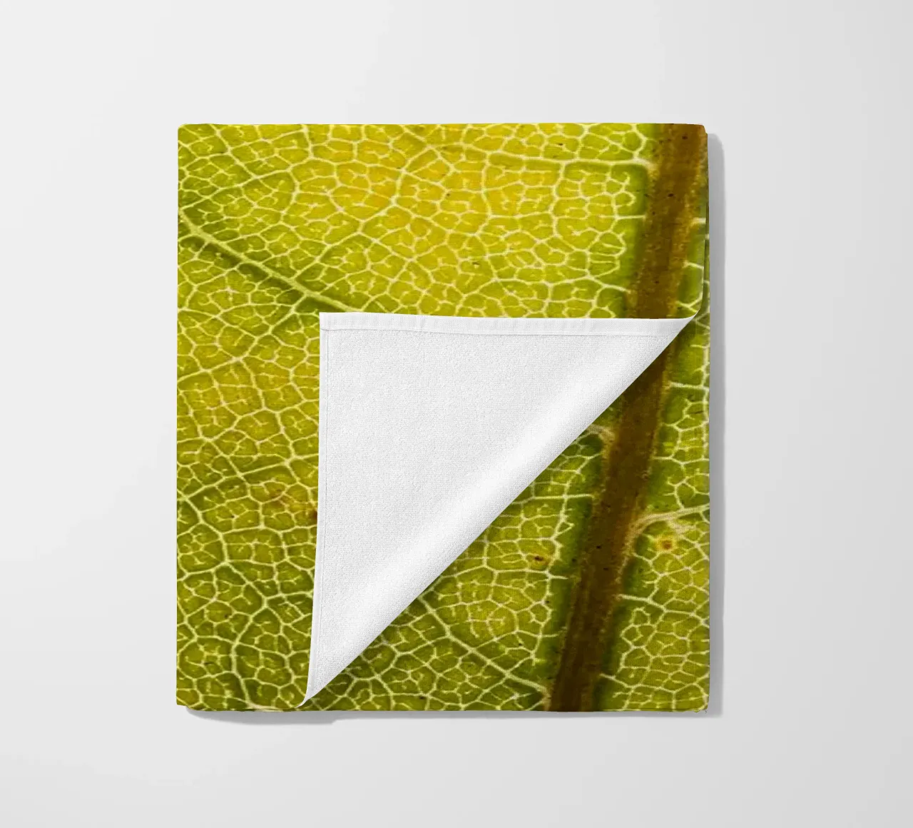 Herbstliches Blatt mit filigranem Adergeflecht telo mare da Bilderwelt - Kunst für die Wand