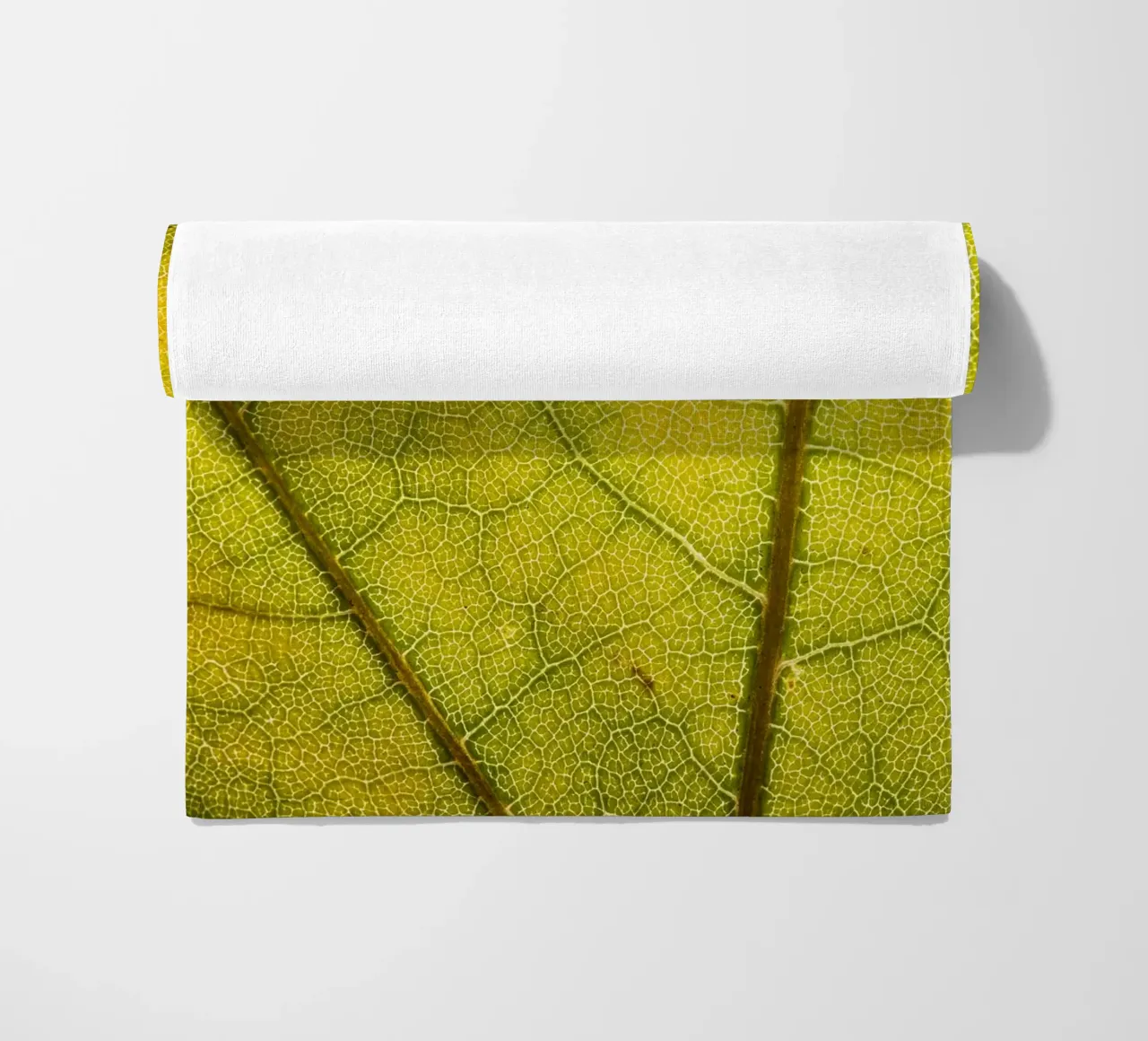 Herbstliches Blatt mit filigranem Adergeflecht telo mare da Bilderwelt - Kunst für die Wand