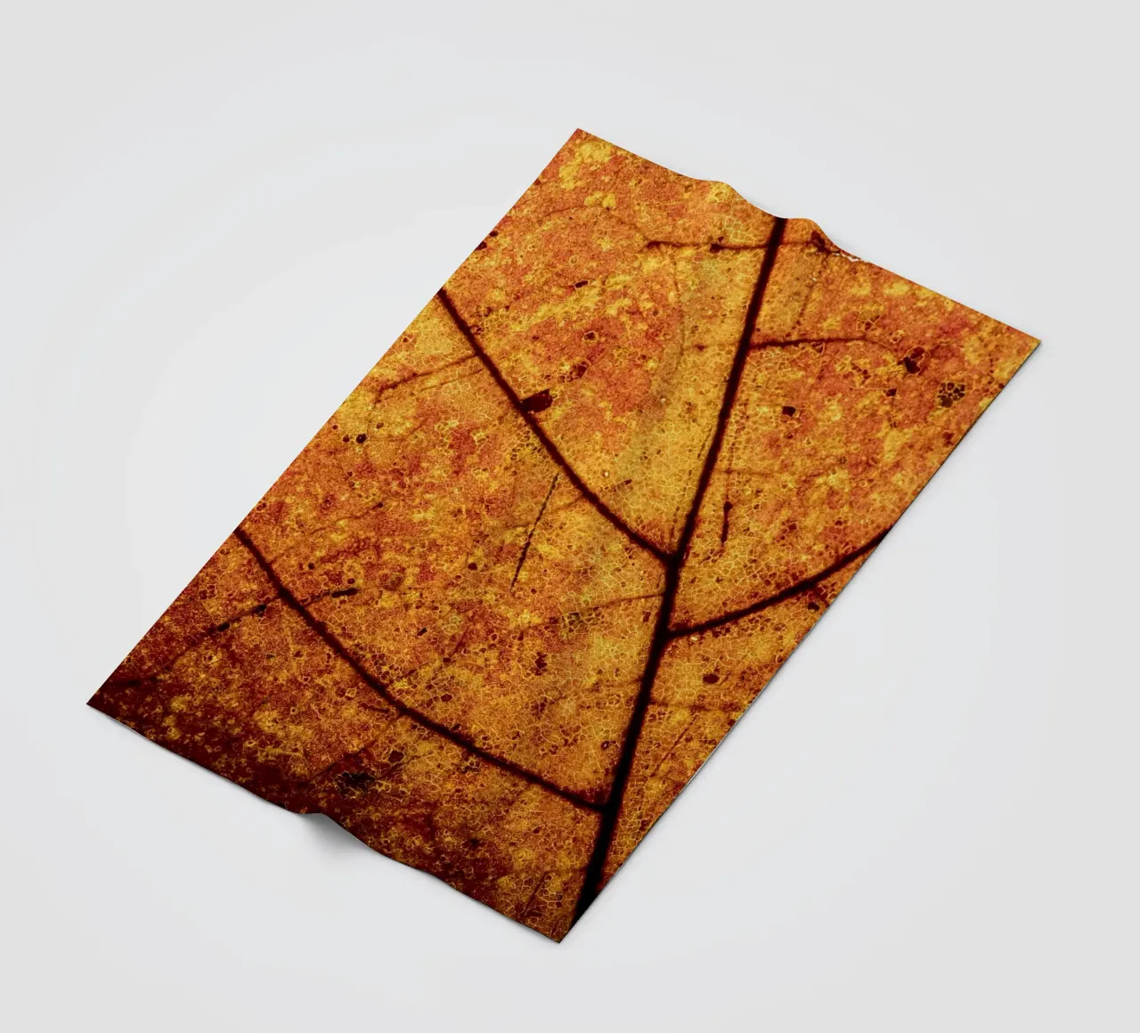 Herbstblatt in Nahaufnahme mit Adermuster coperta in pile da Bilderwelt - Kunst für die Wand