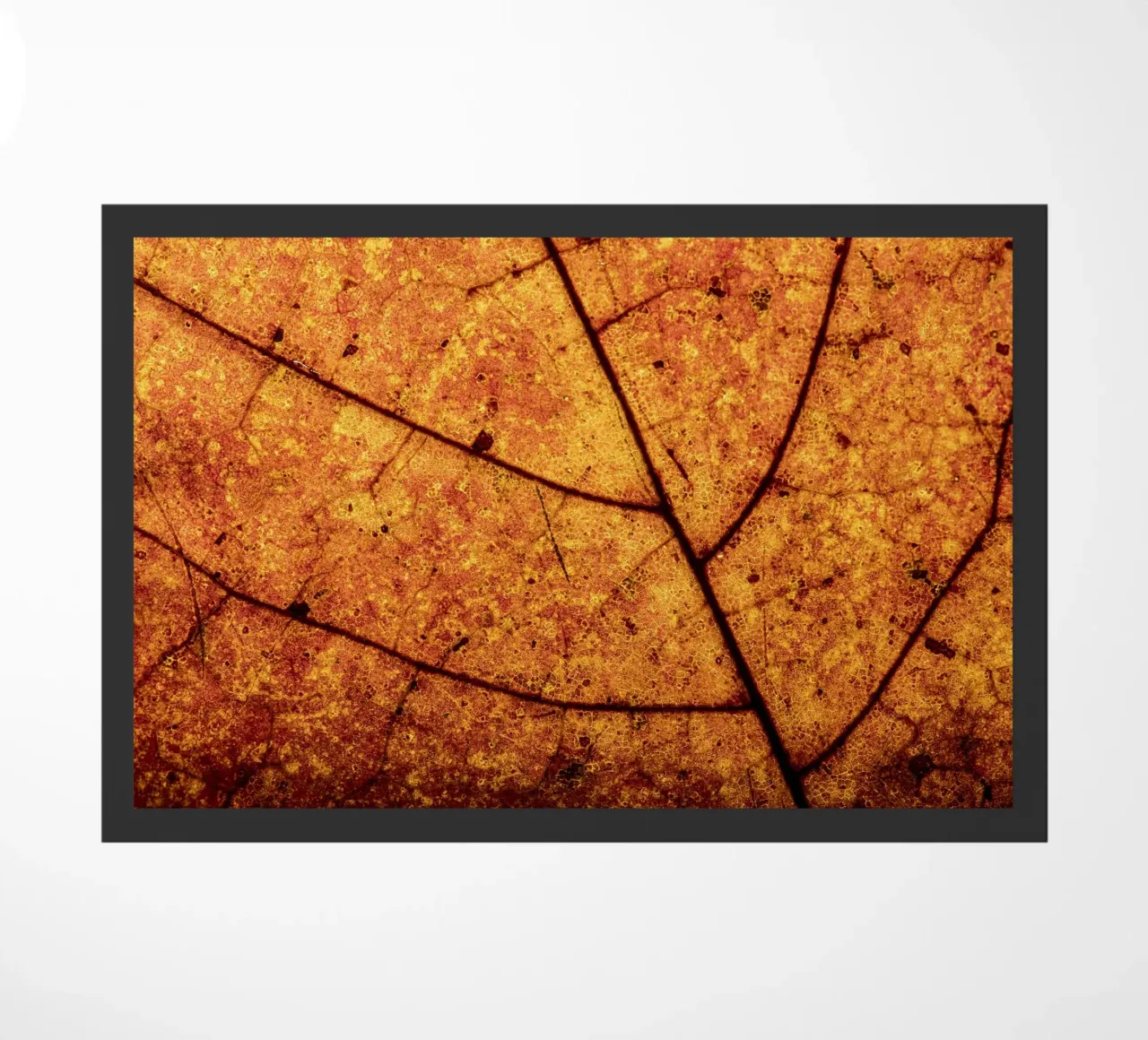 Herbstblatt in Nahaufnahme mit Adermuster zerbino da Bilderwelt - Kunst für die Wand