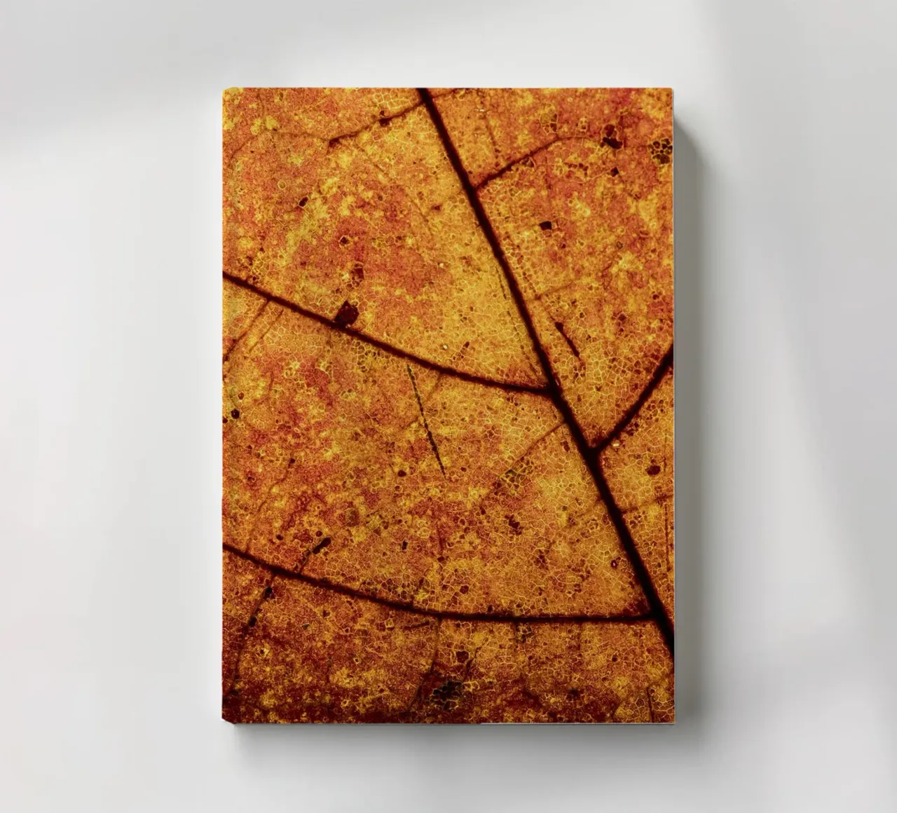 Herbstblatt in Nahaufnahme mit Adermuster notebook by Bilderwelt - Kunst für die Wand