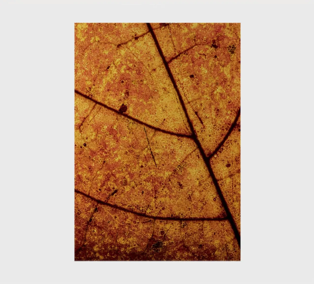 Herbstblatt in Nahaufnahme mit Adermuster notebook by Bilderwelt - Kunst für die Wand