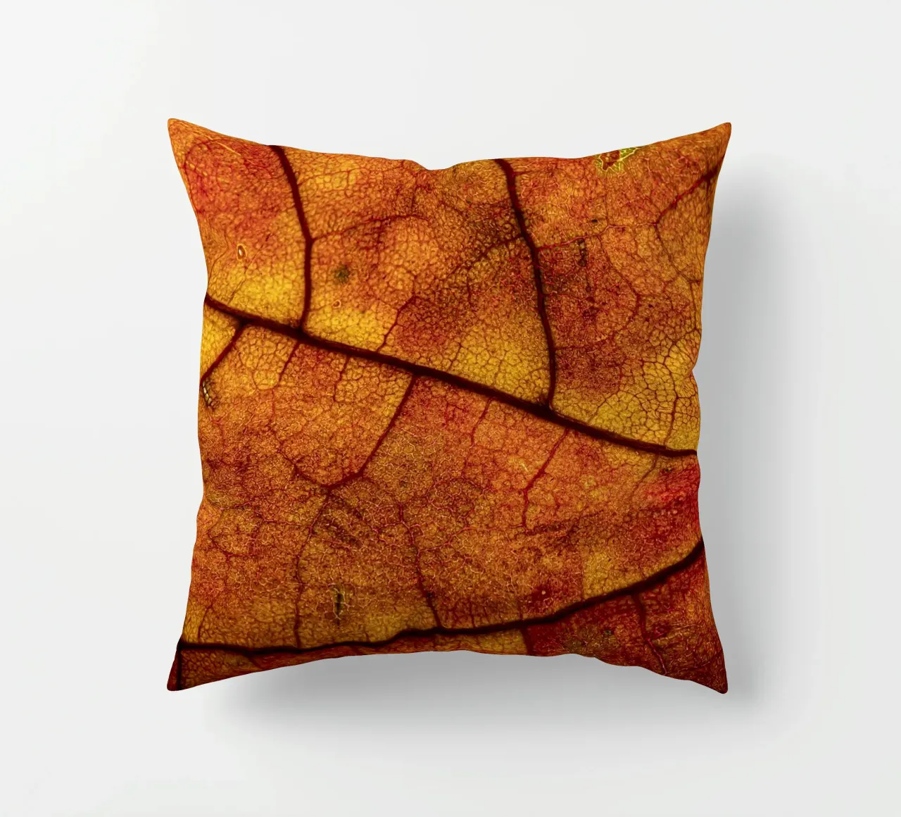 Herbstblatt mit lebendigem Farbverlauf und Aderstruktur cuscino da Bilderwelt - Kunst für die Wand