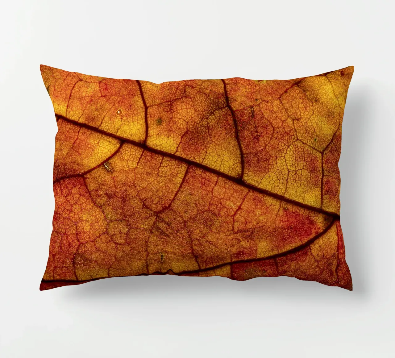 Herbstblatt mit lebendigem Farbverlauf und Aderstruktur cuscino da Bilderwelt - Kunst für die Wand