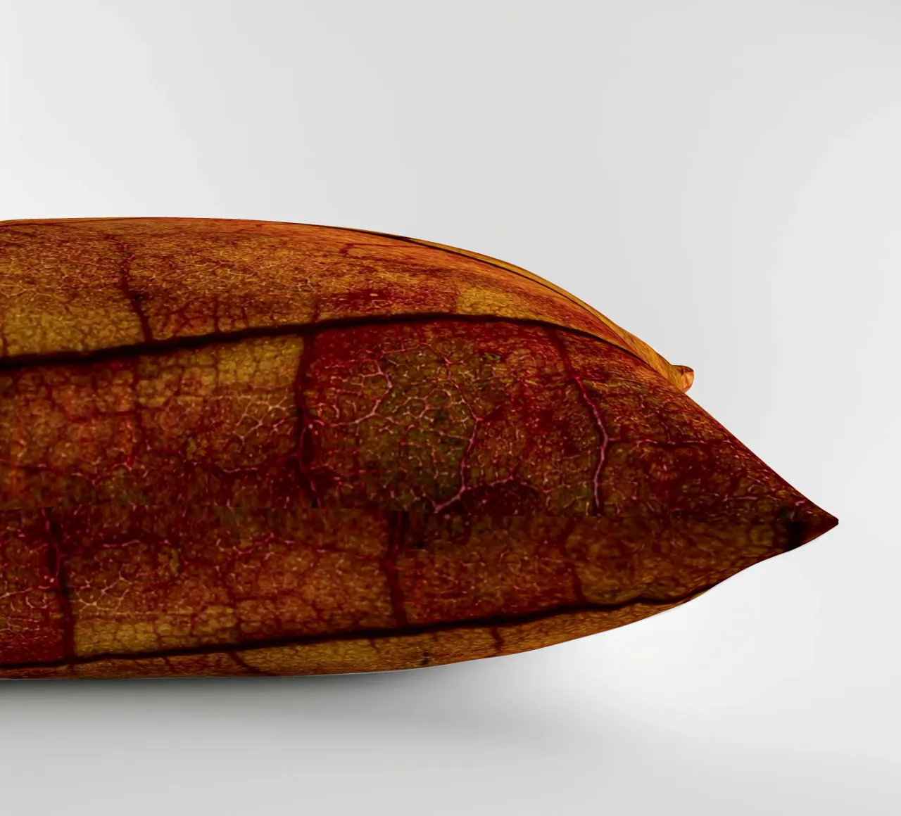 Herbstblatt mit lebendigem Farbverlauf und Aderstruktur cuscino da Bilderwelt - Kunst für die Wand