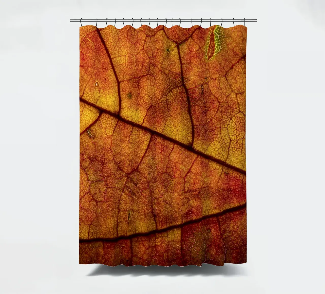 Herbstblatt mit lebendigem Farbverlauf und Aderstruktur tenda da doccia da Bilderwelt - Kunst für die Wand