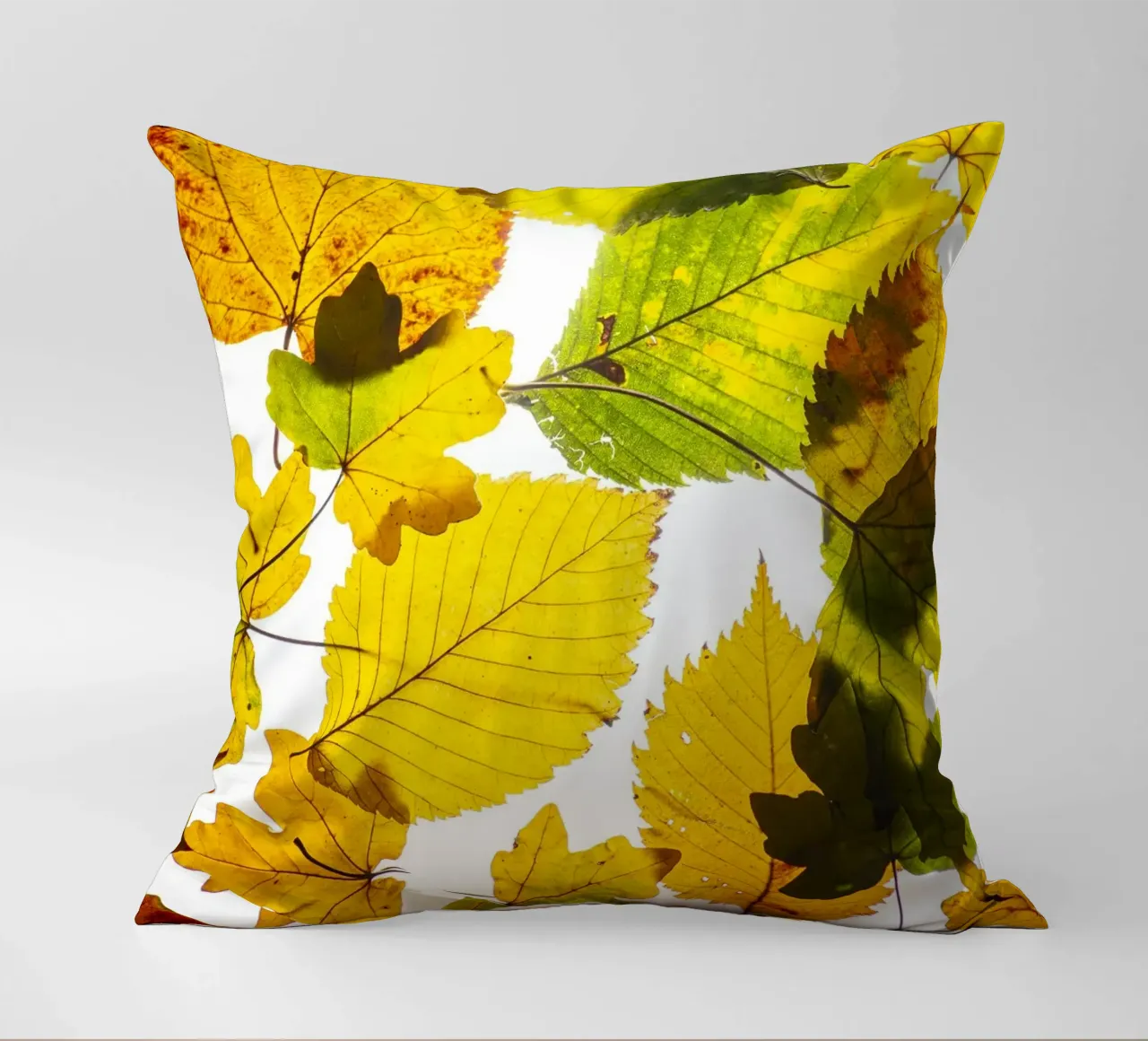Foglie d'autunno in variazione sul bianco cuscino da Bilderwelt - Kunst für die Wand