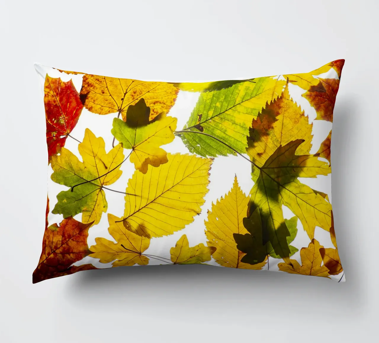 Foglie d'autunno in variazione sul bianco cuscino da Bilderwelt - Kunst für die Wand
