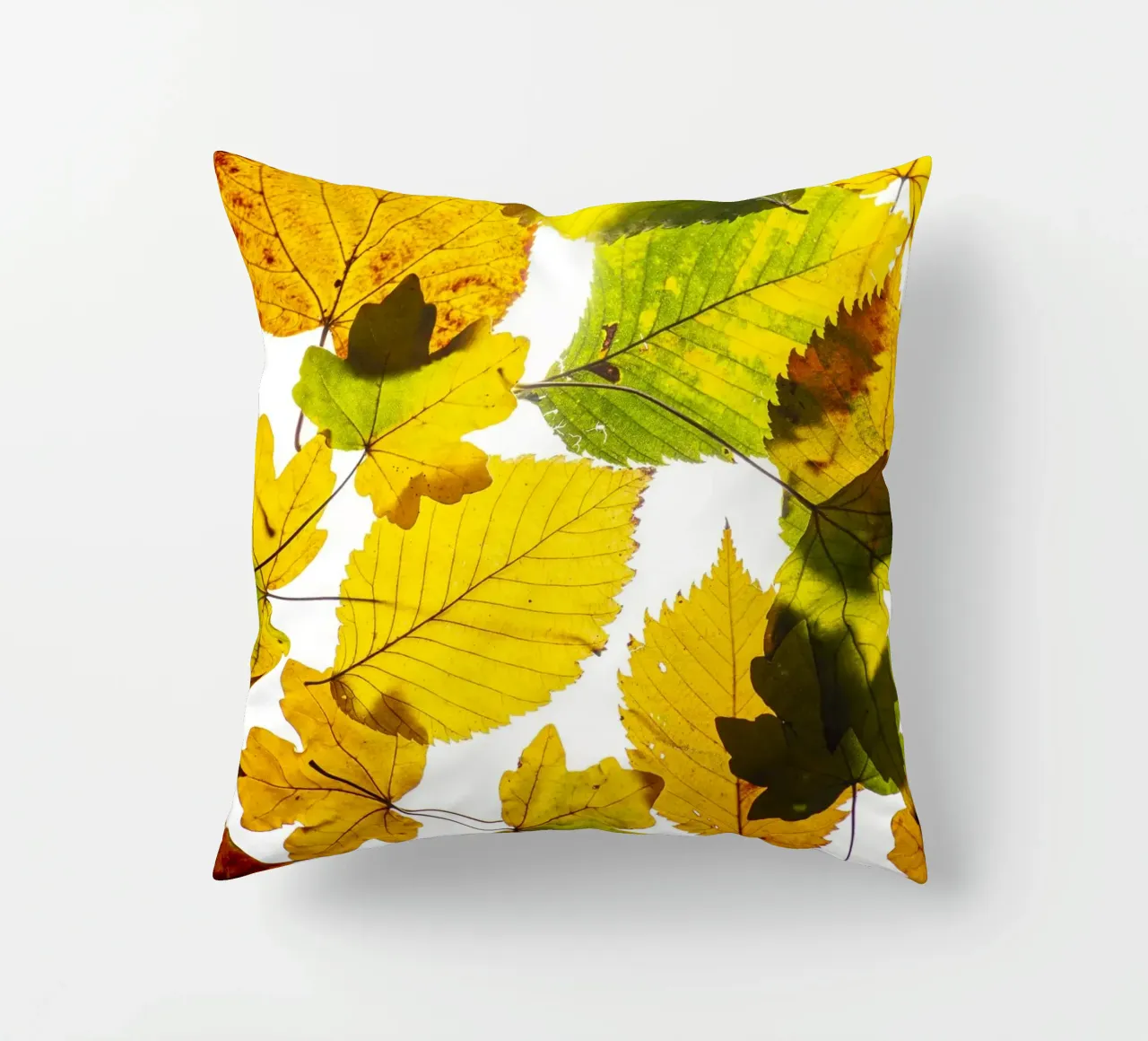Foglie d'autunno in variazione sul bianco cuscino da Bilderwelt - Kunst für die Wand