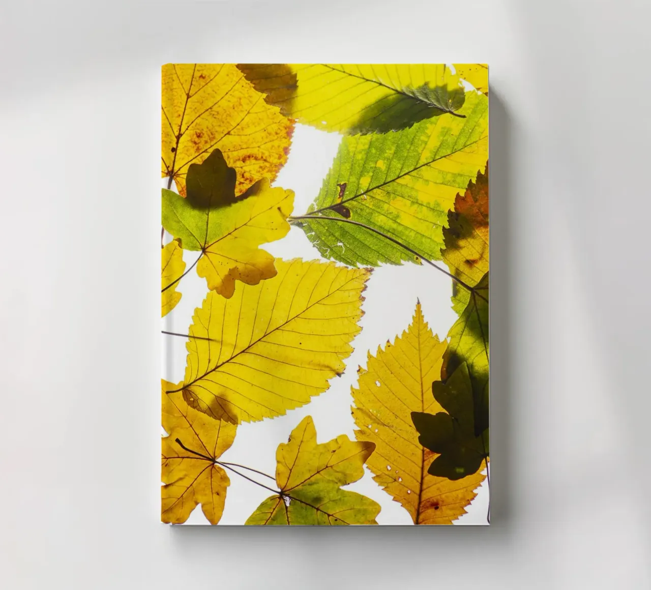 Autumn leaves in variation on white notebook by Bilderwelt - Kunst für die Wand