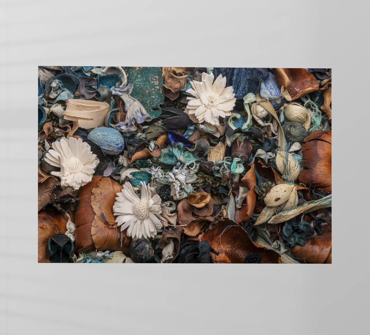 Composizione di fiori secchi con accenti bianchi pellicola backlit da Bilderwelt - Kunst für die Wand