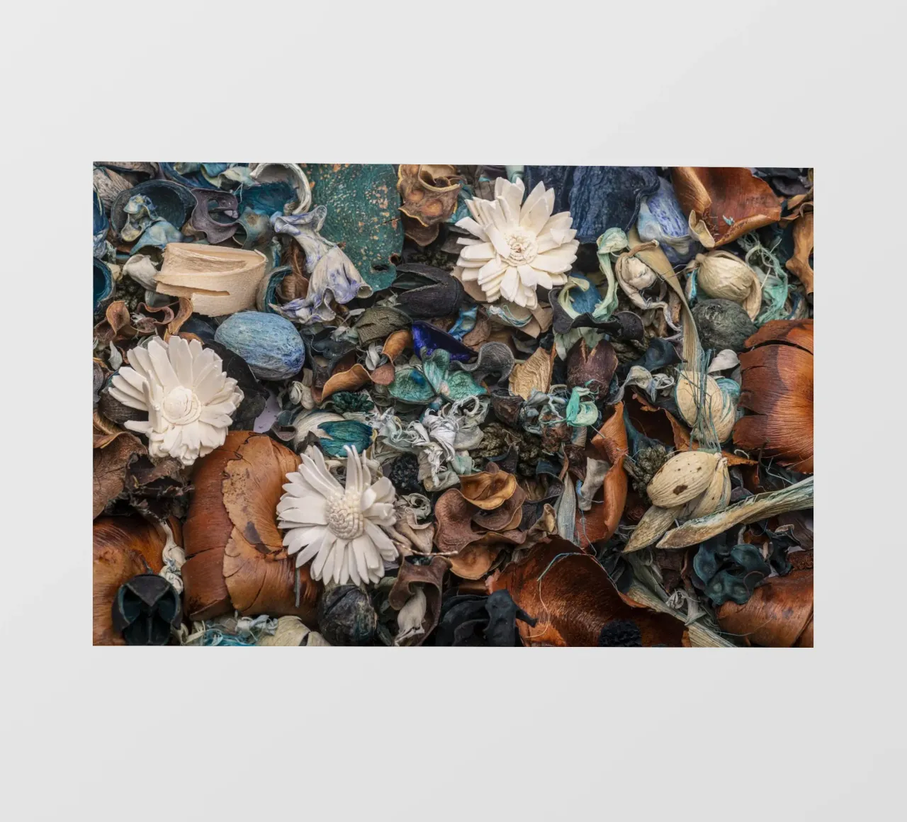 Composizione di fiori secchi con accenti bianchi pellicola backlit da Bilderwelt - Kunst für die Wand