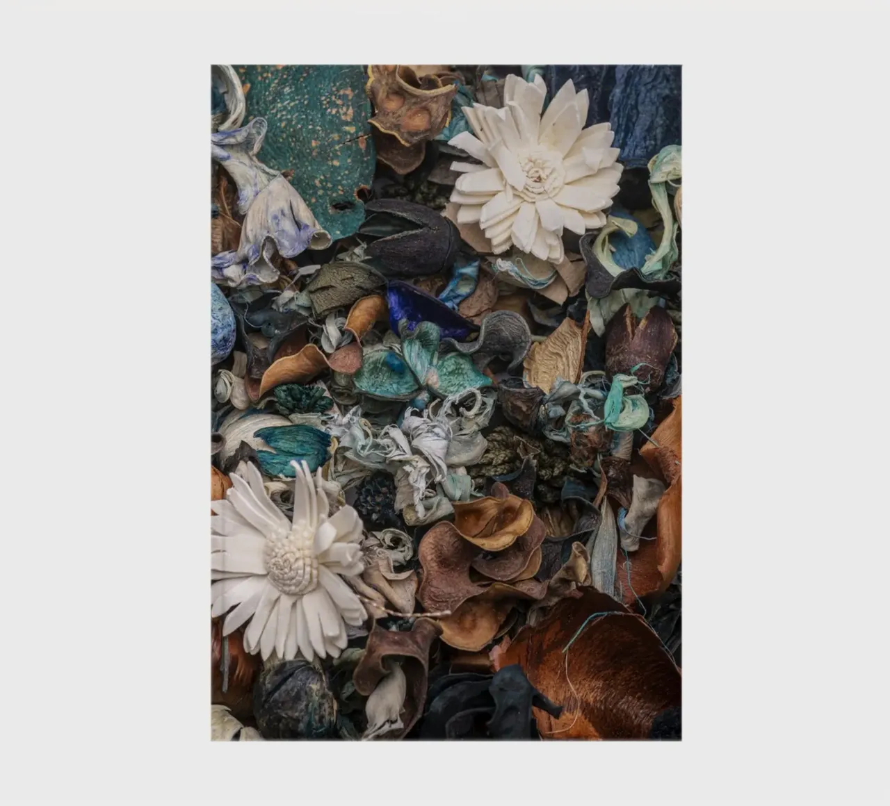 Composizione di fiori secchi con accenti bianchi diario da Bilderwelt - Kunst für die Wand