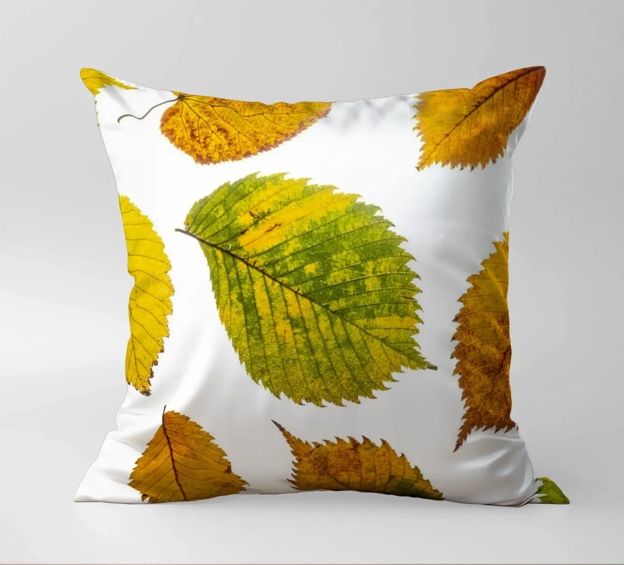 Foglie d'autunno in variazione sul bianco cuscino da Bilderwelt - Kunst für die Wand