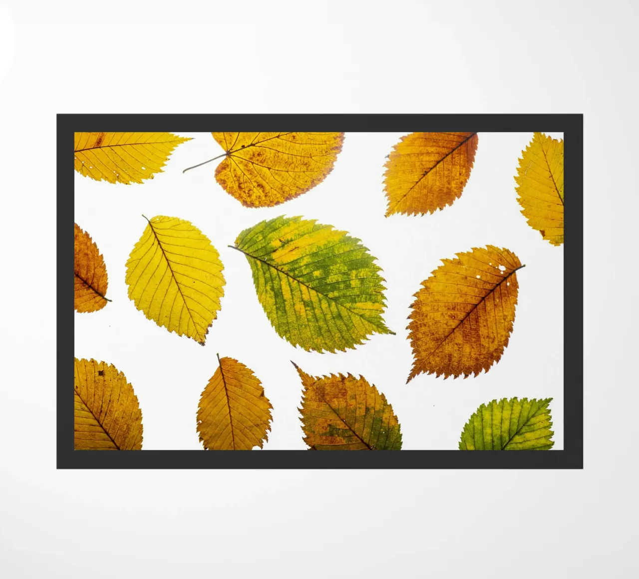 Foglie d'autunno in variazione sul bianco zerbino da Bilderwelt - Kunst für die Wand