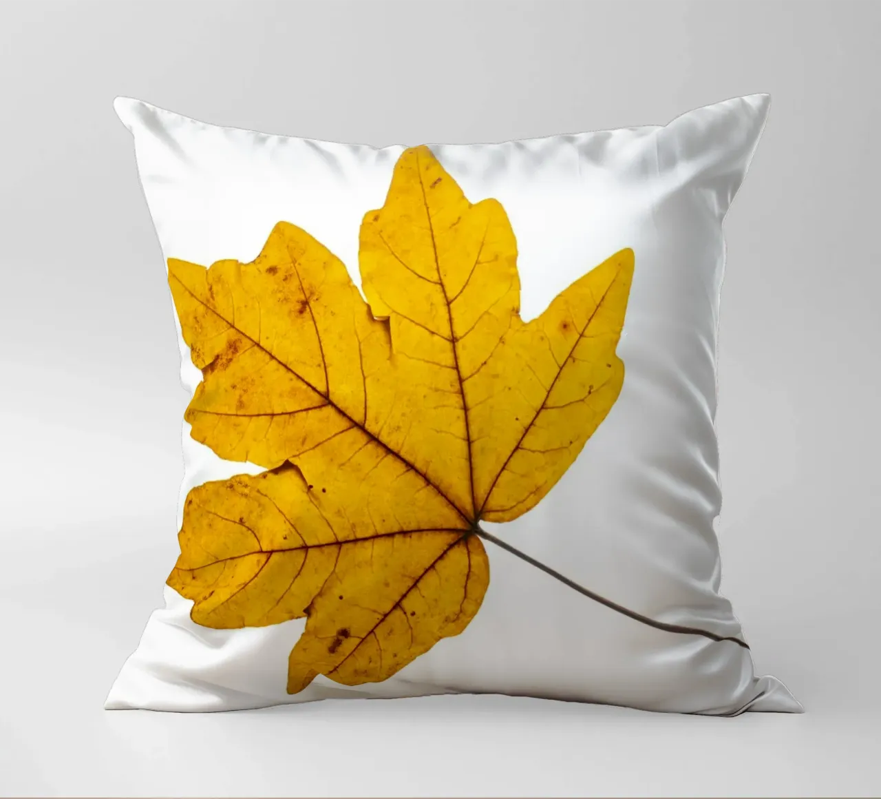 Foglia d'acero in autunno, giallo su bianco cuscino da Bilderwelt - Kunst für die Wand