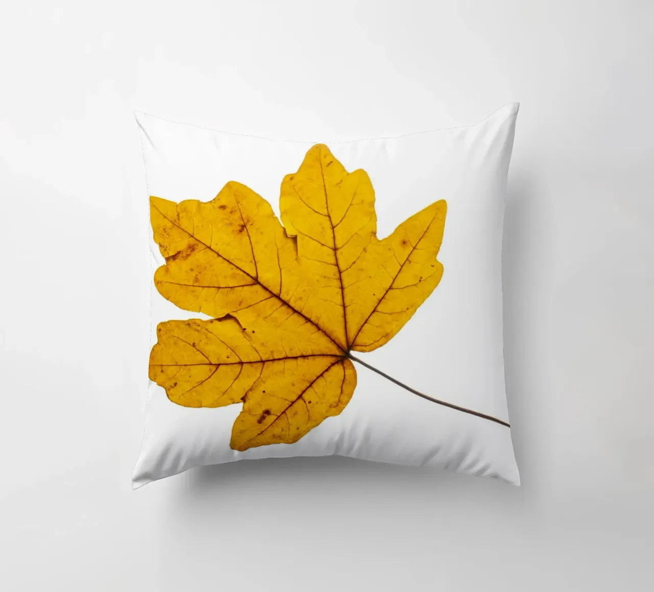 Foglia d'acero in autunno, giallo su bianco cuscino da Bilderwelt - Kunst für die Wand