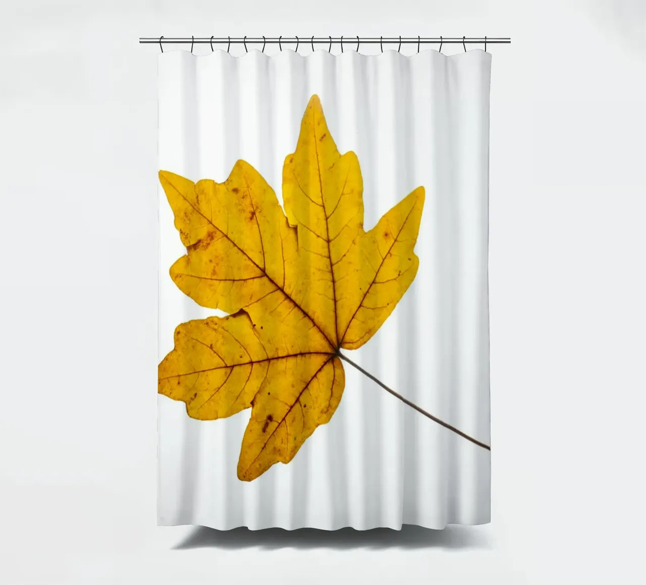 Foglia d'acero in autunno, giallo su bianco tenda da doccia da Bilderwelt - Kunst für die Wand