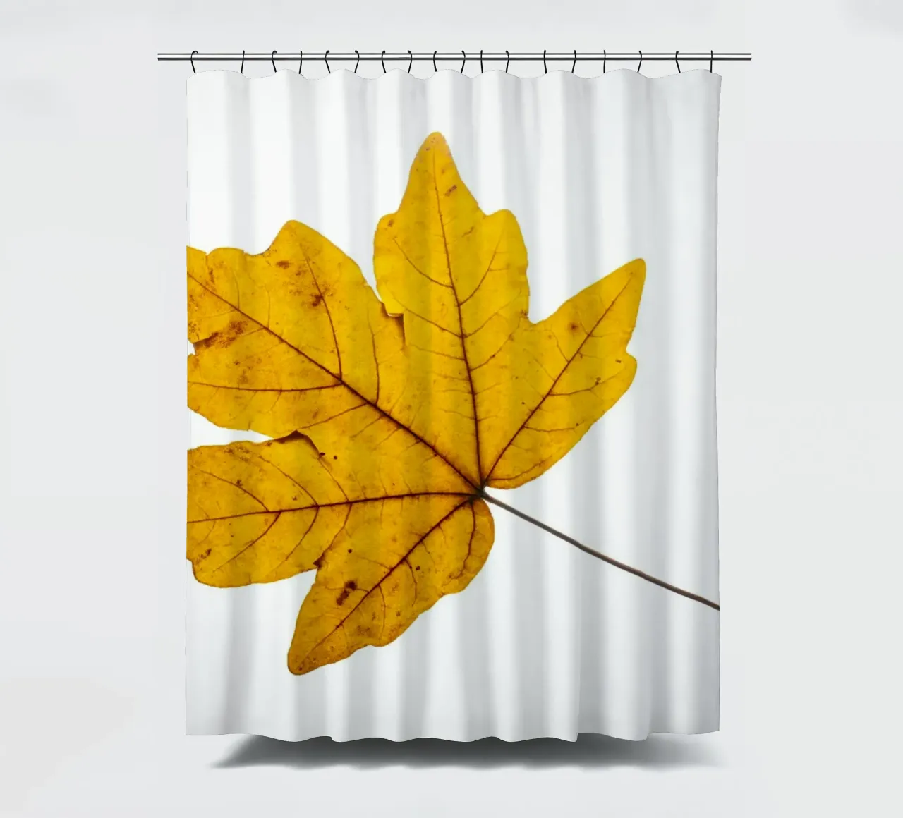 Foglia d'acero in autunno, giallo su bianco tenda da doccia da Bilderwelt - Kunst für die Wand