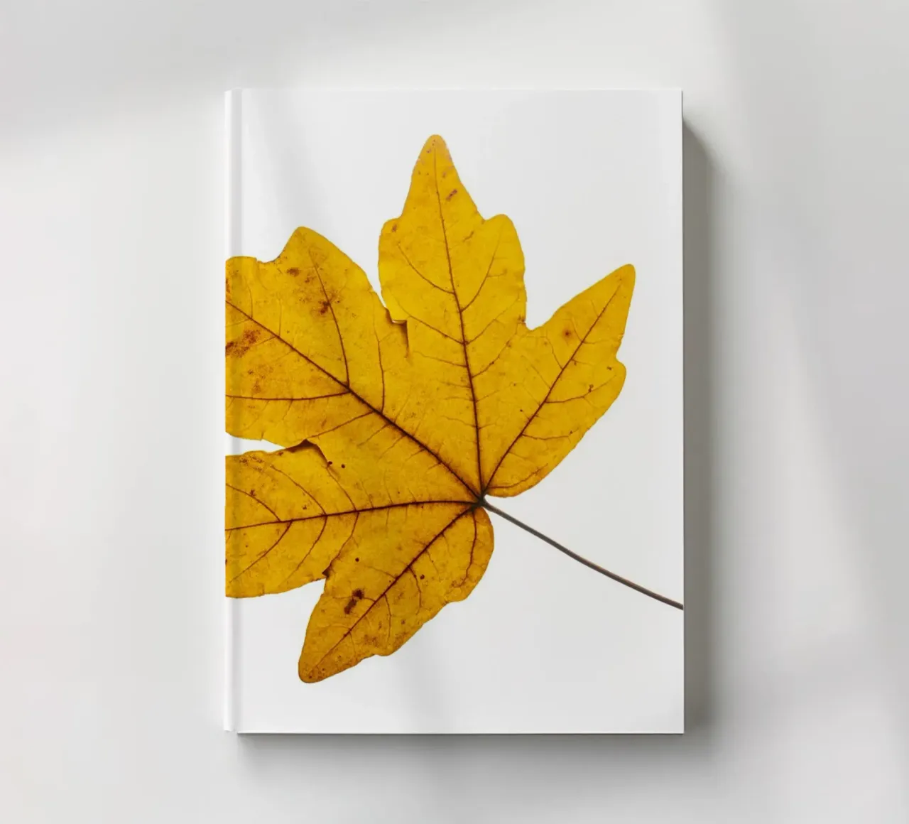 Feuille d'érable en jaune d'automne sur blanc carnet de notes de Bilderwelt - Kunst für die Wand